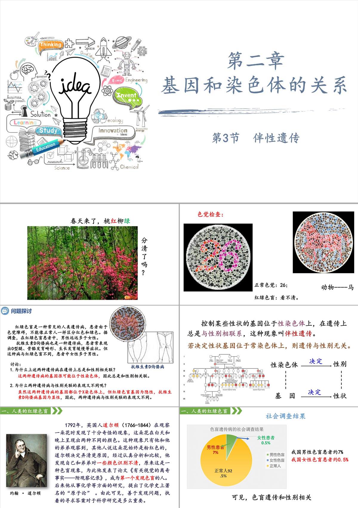 伴性遗传课件高一下学期生物人教版必修2PPT模板