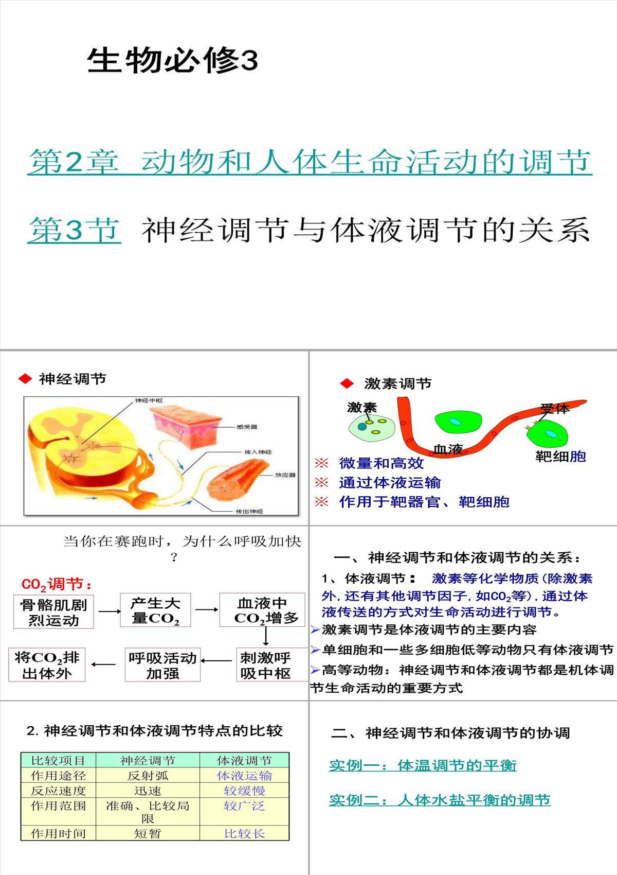 高二生物神经调节和体液调节的关系PPT模板