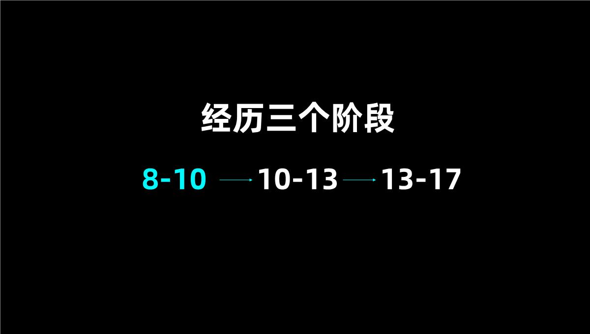 黑色简约个人工作汇报演示PPT模板_02