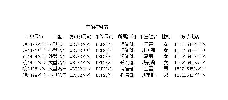 车辆资料表Excel模板_02