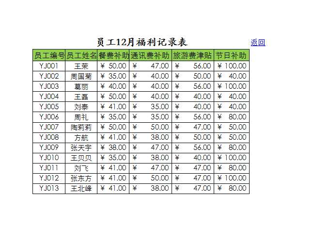 员工年度福利统计表 Excel模板_13