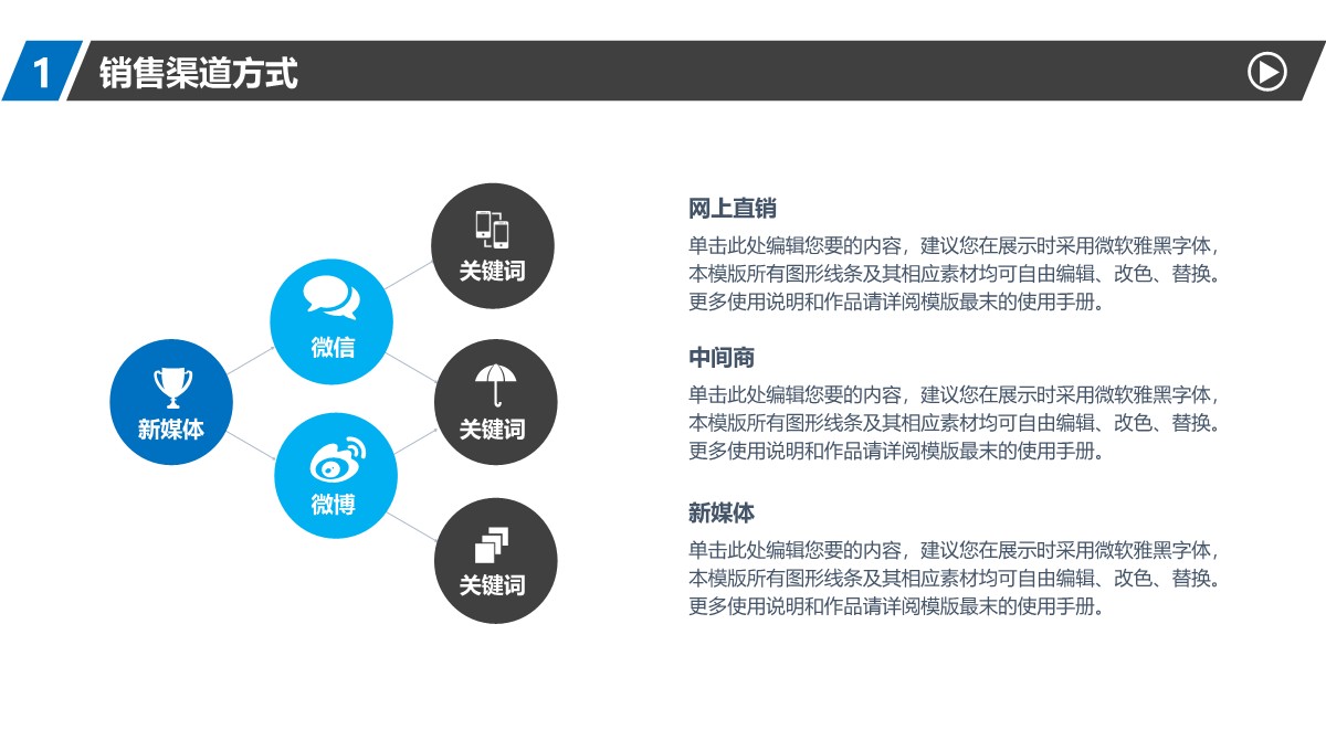 商务项目总结与策略分析PPT模板_18